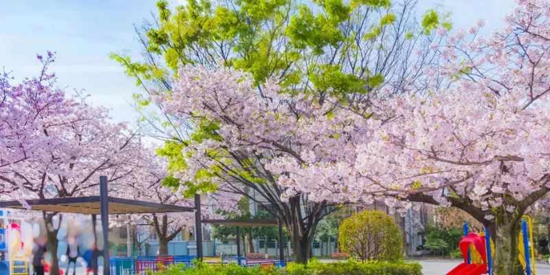 Ota City: The Perfect Blend of Convenience and Culture for Expats